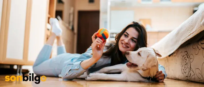 Apartman Dairesinde Köpekler: Sağlıksız Koşullar Raporu